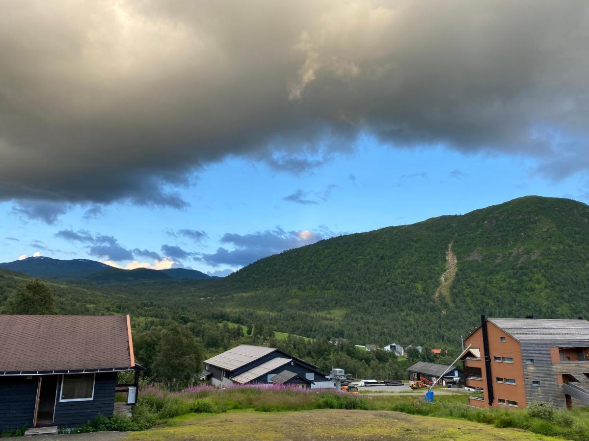 Helgatun Fjellpensjonat Vinje  Luaran gambar